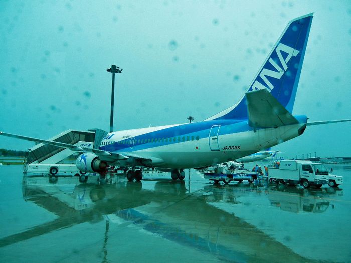 ANA B737-500