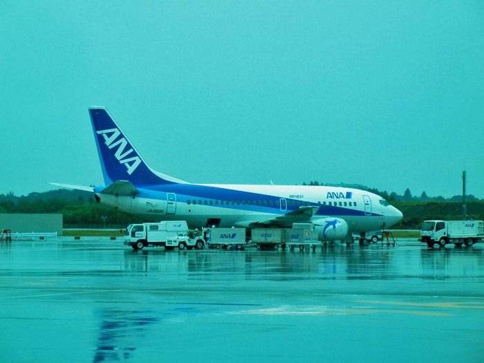 ANA B737-500