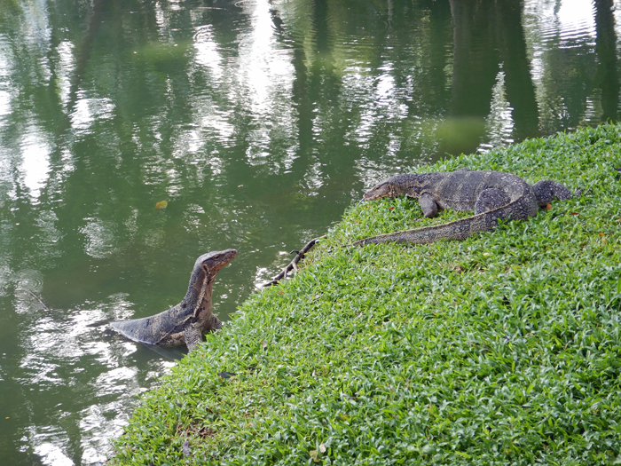 ルンピニー公園