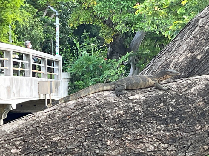 バンコク 6月8日（１）
